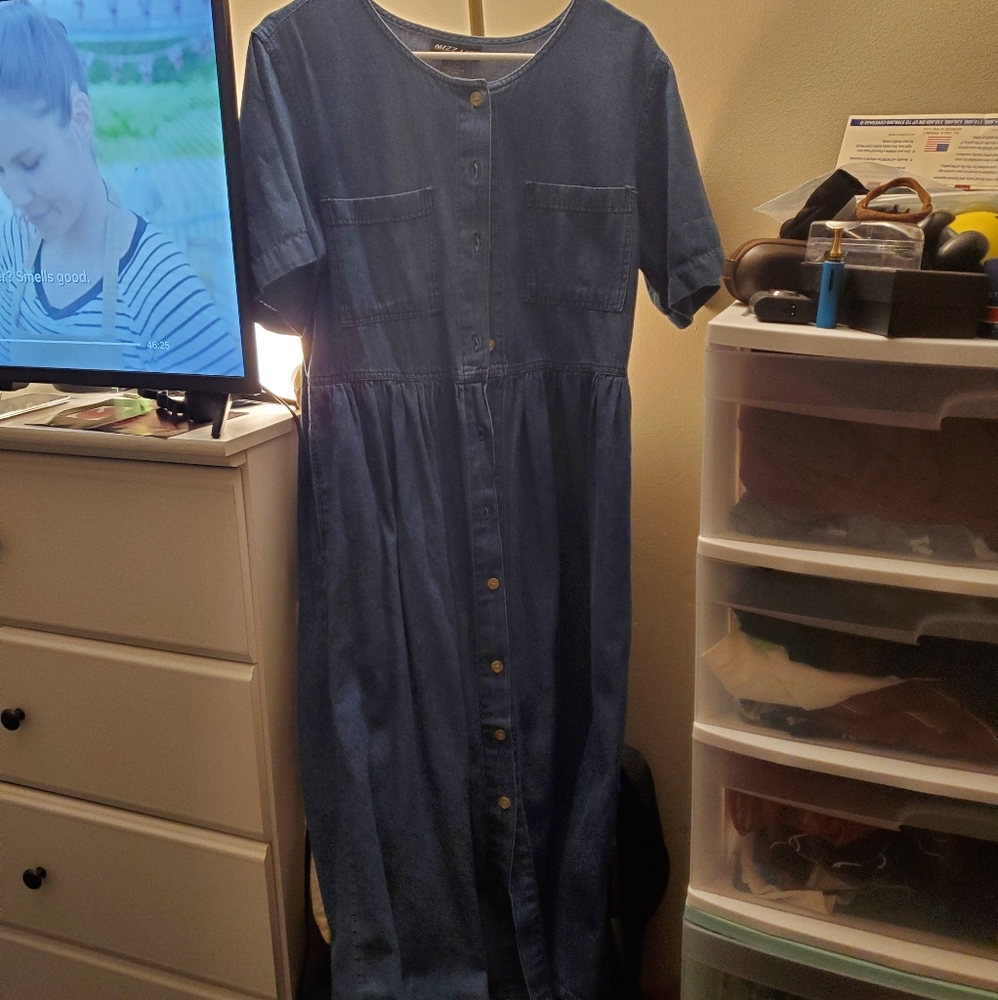 Long jean dress (thrifted)